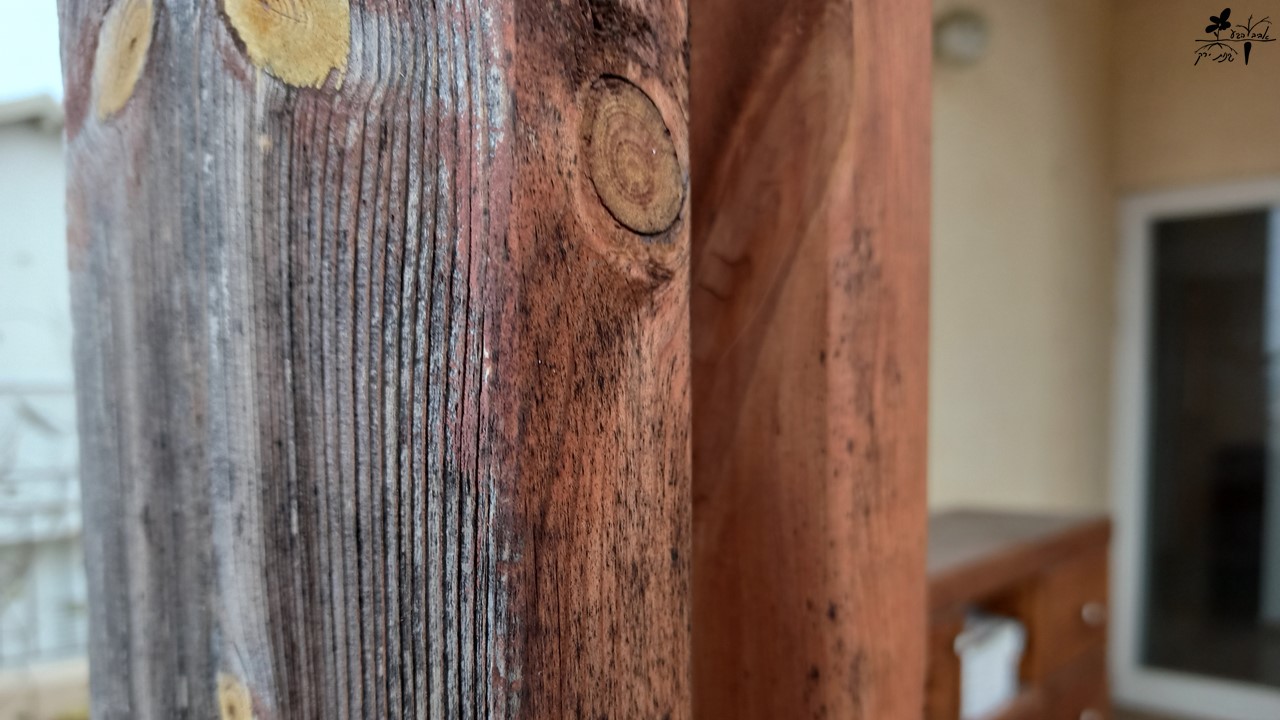 מהוקצע? מחוטא? הכל על עץ לבנייה