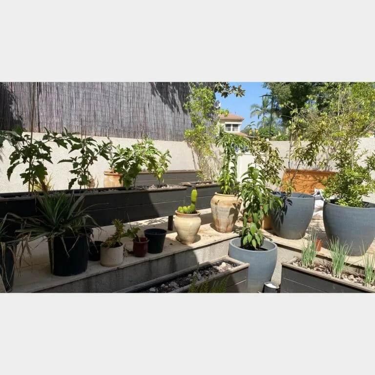 אדנית עץ גדולה לגינה ולמרפסת (1)