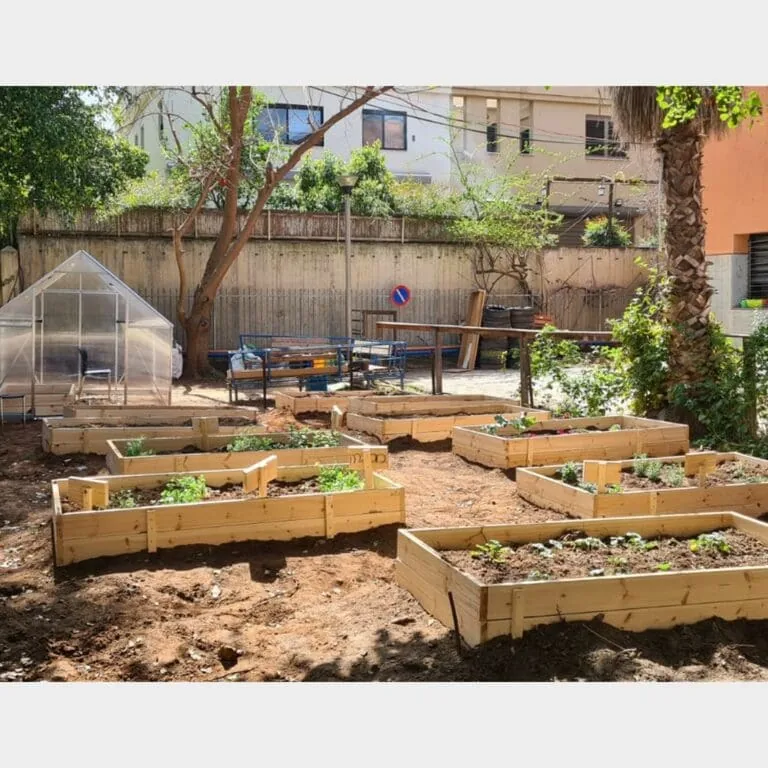 ערוגות עץ מוגבהות דגם "שאול" בגדלים שונים בגינה קהילתית לצד חממה