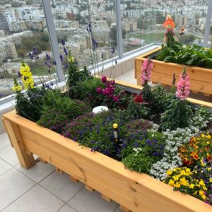 ערוגה למרפסת (2)