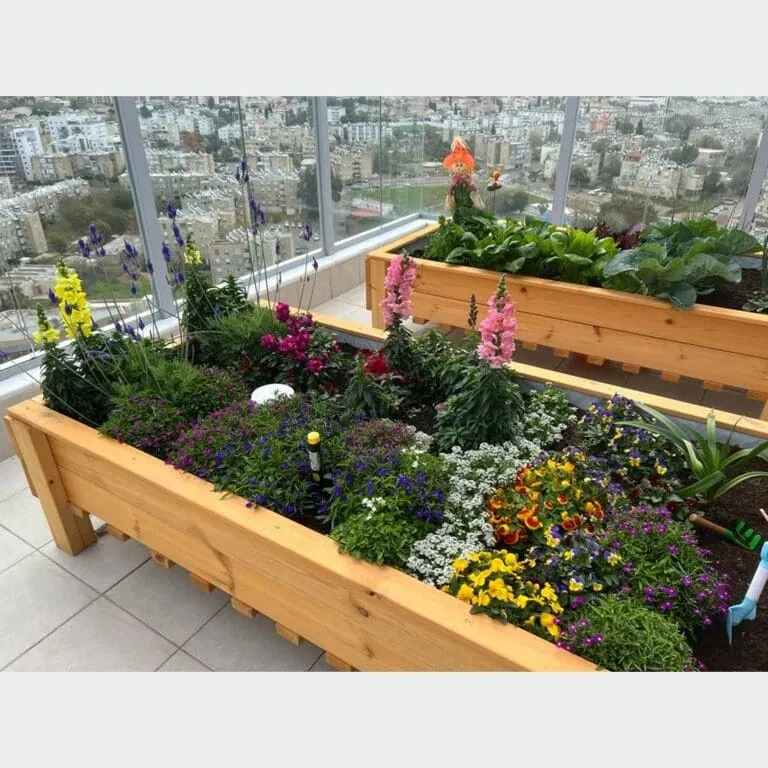 ערוגת עץ מוגבהת דגם "עדן" במרפסת, שופעת פרחי קיץ צבעוניים וירקות עלים