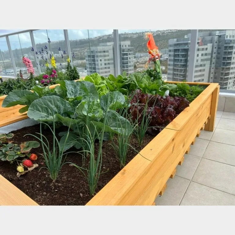 ערוגת עץ מוגבהת דגם "עדן" במרפסת עם כרובית, בצל ירוק וחסה אדומה