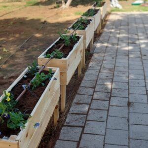 אדנית עץ גדולה