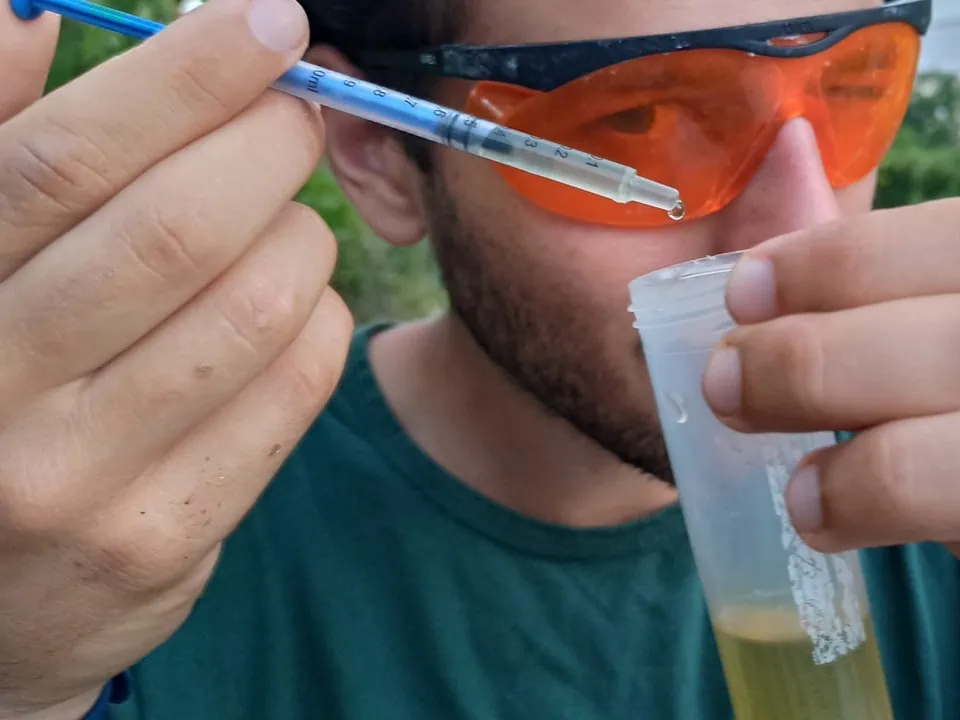 דישון מדידה דשן הידרופוני