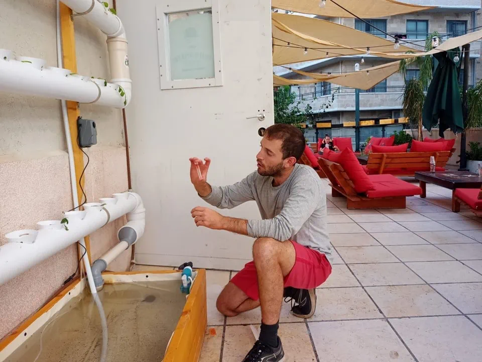 טיפול במערכת ההידרופונית בצינורות במרפסת של סינמה הוסטל
