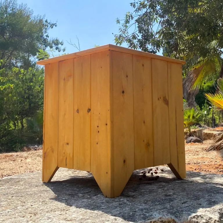 עציץ עץ אורן 59/59 מונח על אבן בגינה, מבט צד