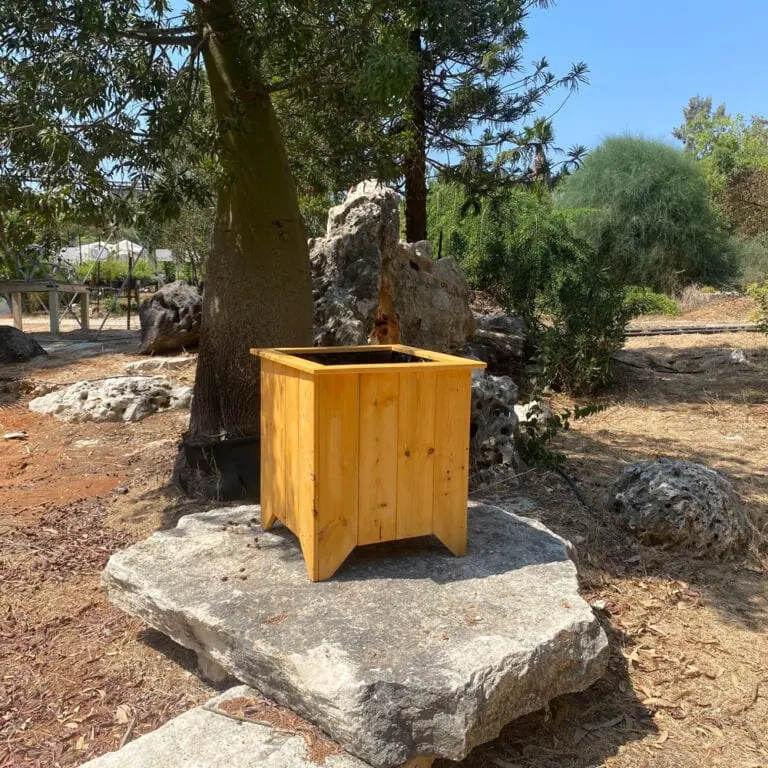 עציץ עץ אורן 59/59 ריק מונח על אבן בגינה