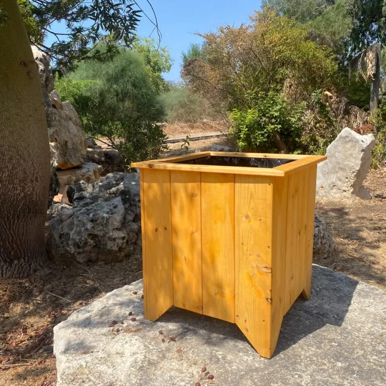 עציץ עץ אורן 59/59 פתוח למעלה מונח על אבן בגינה