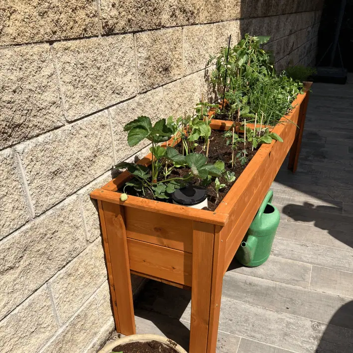 אדנית עץ גדולה דגם "דניס" בגוון מהגוני ניצבת ליד קיר עם תותים וירקות