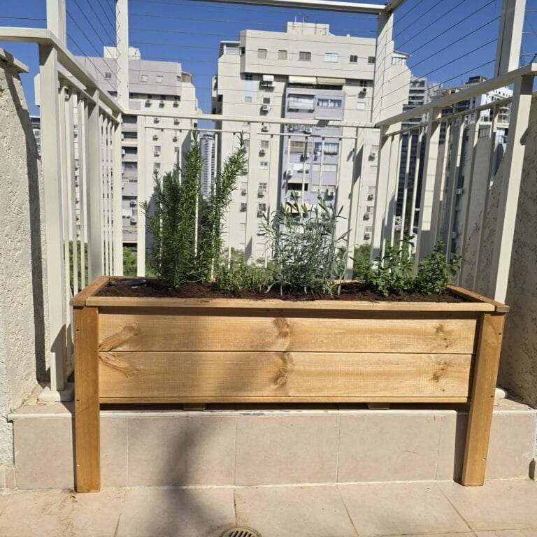 אדנית דניס עץ מלא לכה