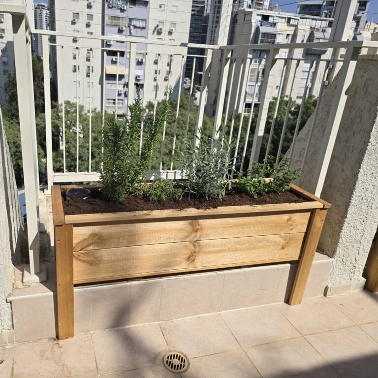 אדנית דניס עץ מלא לכה