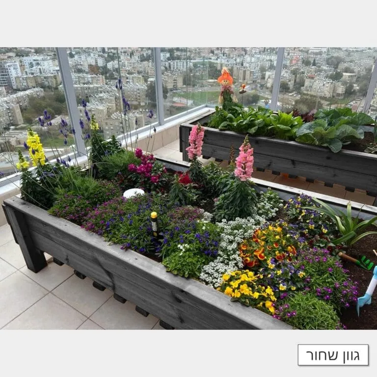 ערוגות עץ בגוון שחור עמוסות פרחים וצמחים על מרפסת עם נוף עירוני