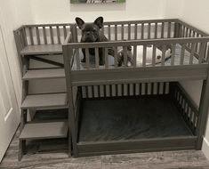 מיטת קומותיים לכלבים