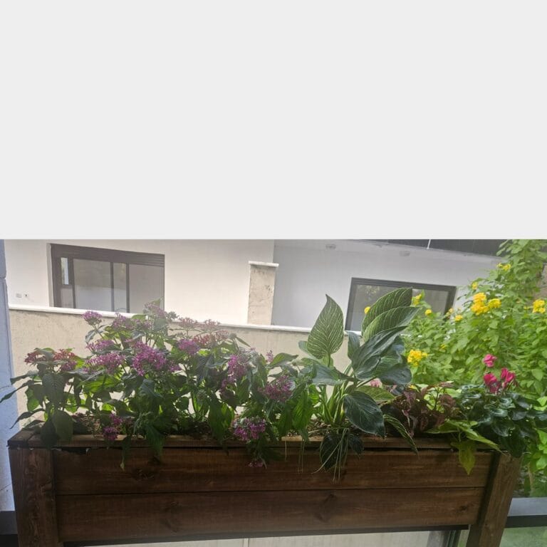 אדנית עץ למעקה דגם "אהוד" שתולה בפרחים סגולים וירק בקדמת מרפסת